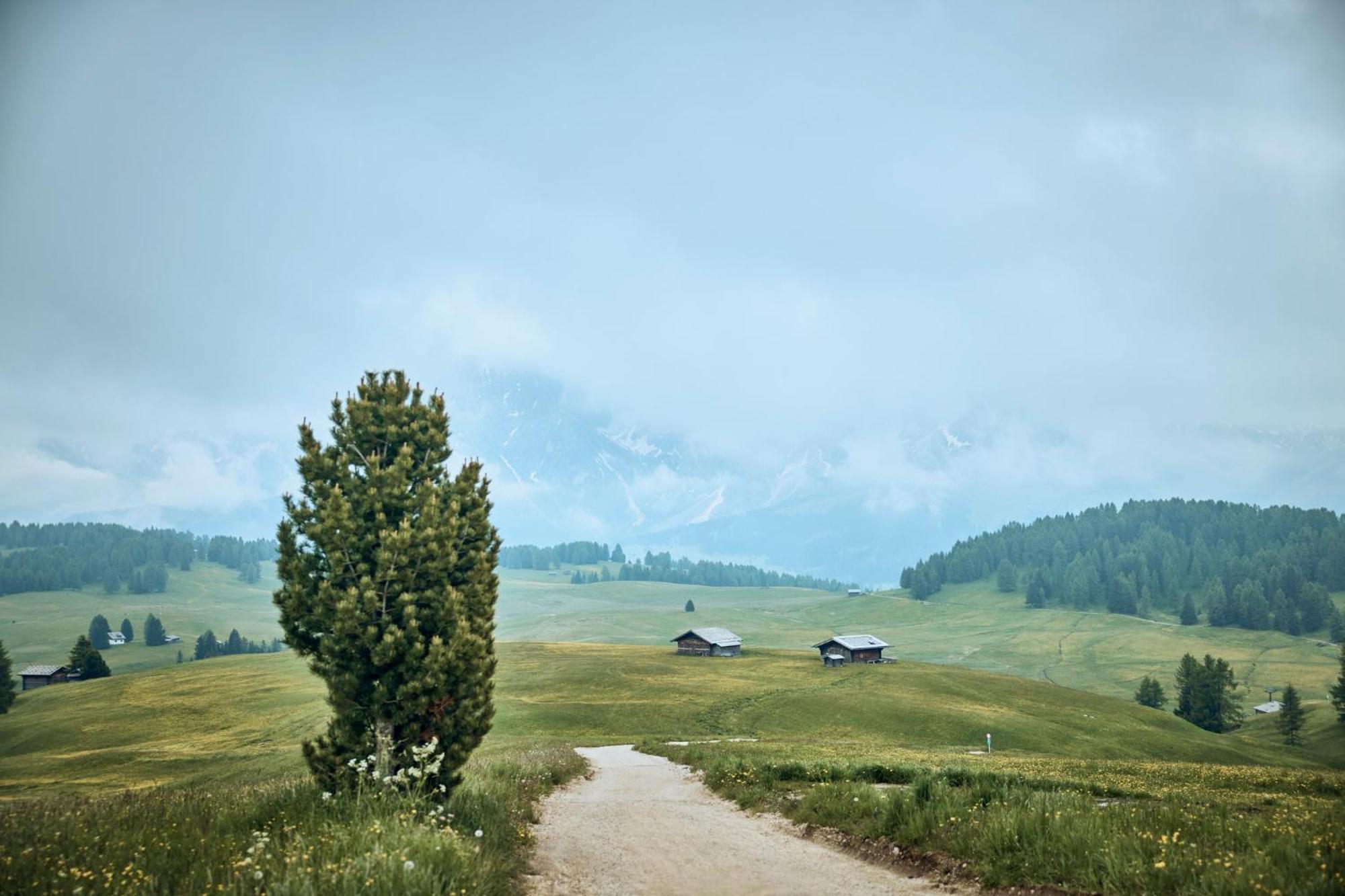 Alpina Dolomites 5* Seiser Alm