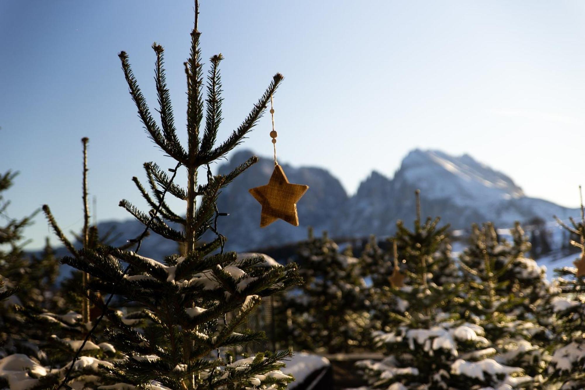 Alpina Dolomites Seiser Alm