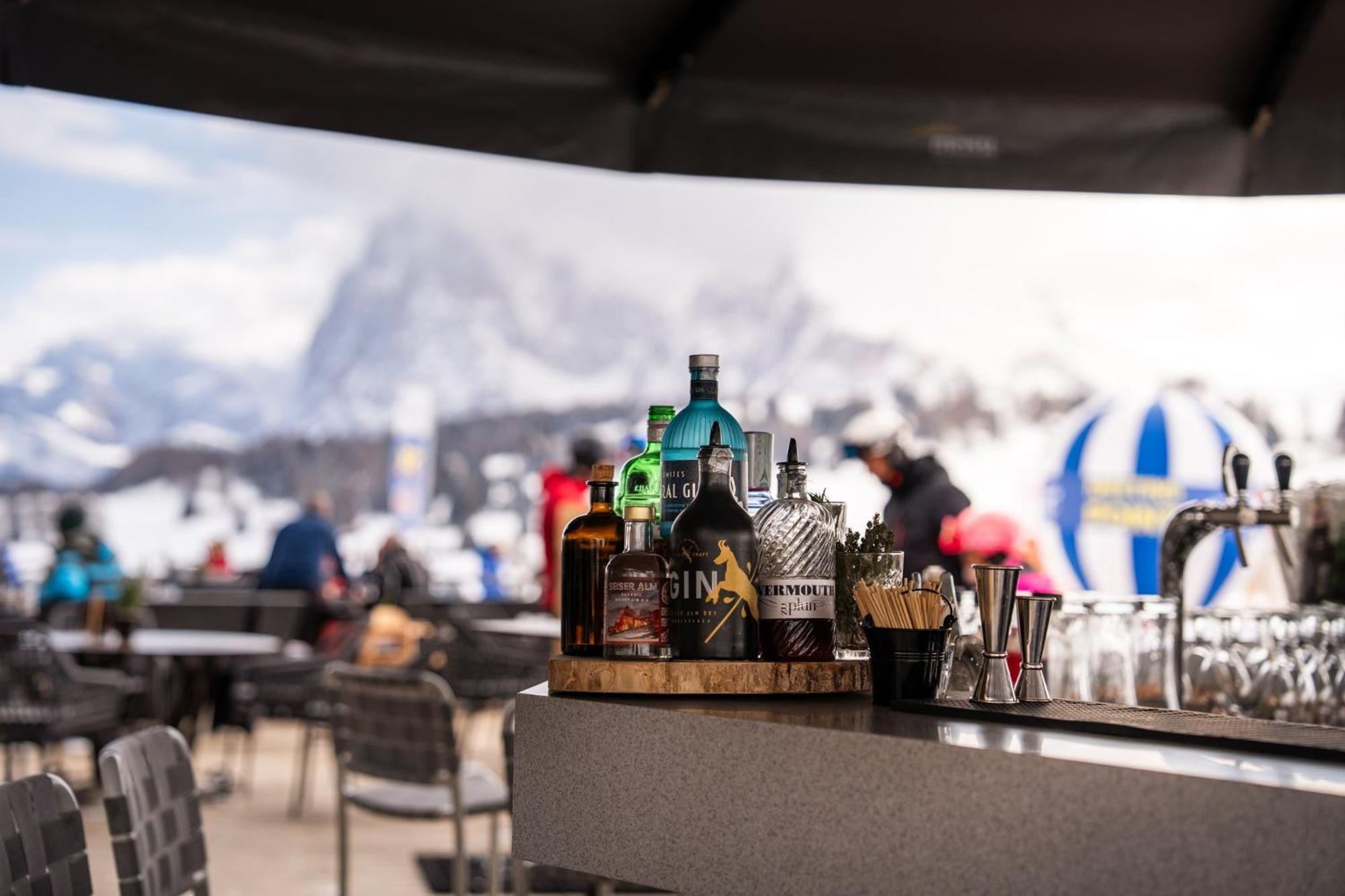 Hotel Alpina Dolomites