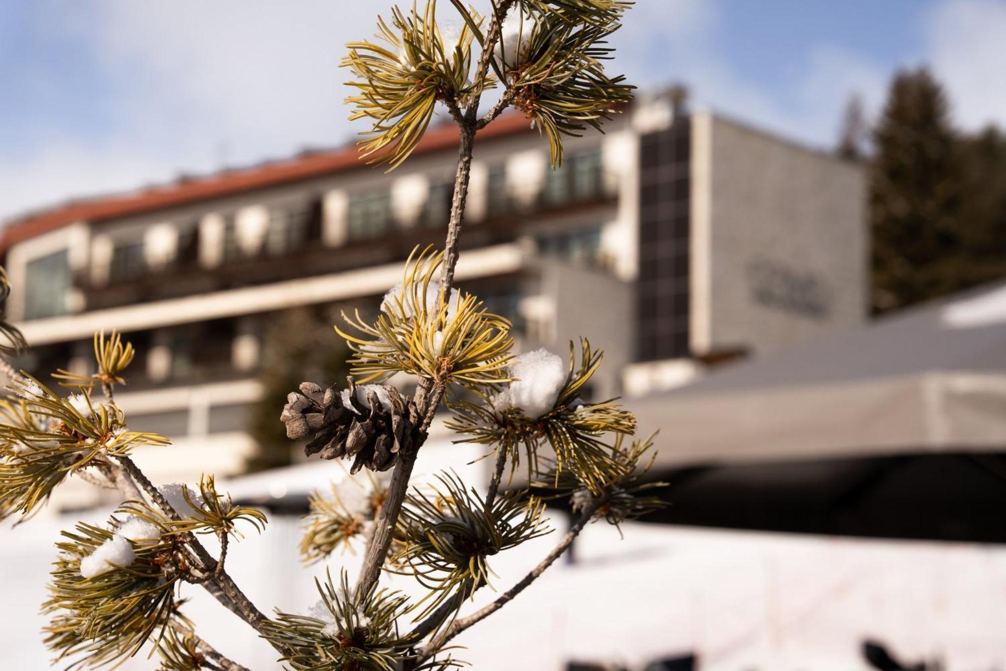 Alpina Dolomites Hotel 5*