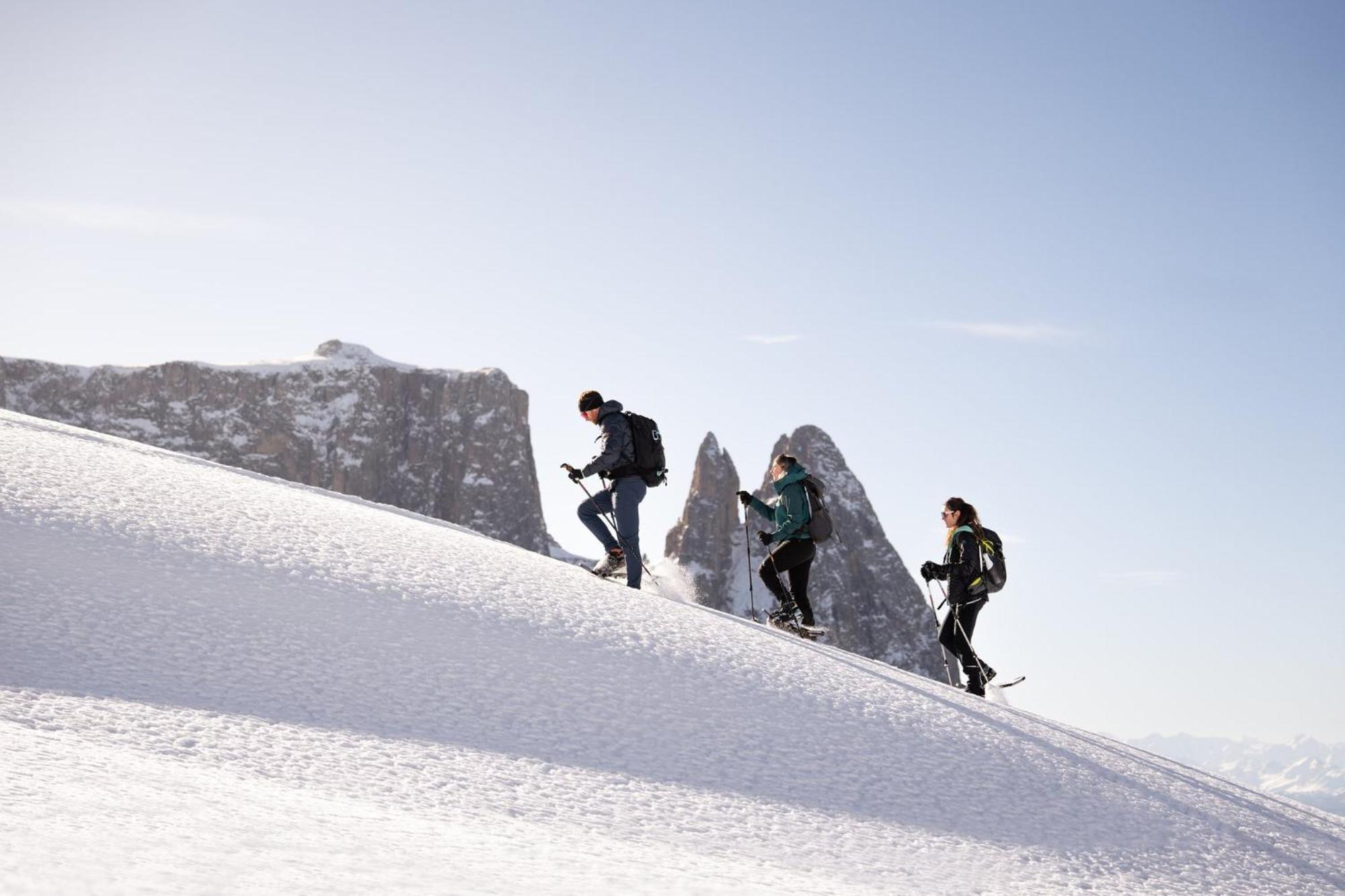 Alpina Dolomites Hotel Seiser Alm