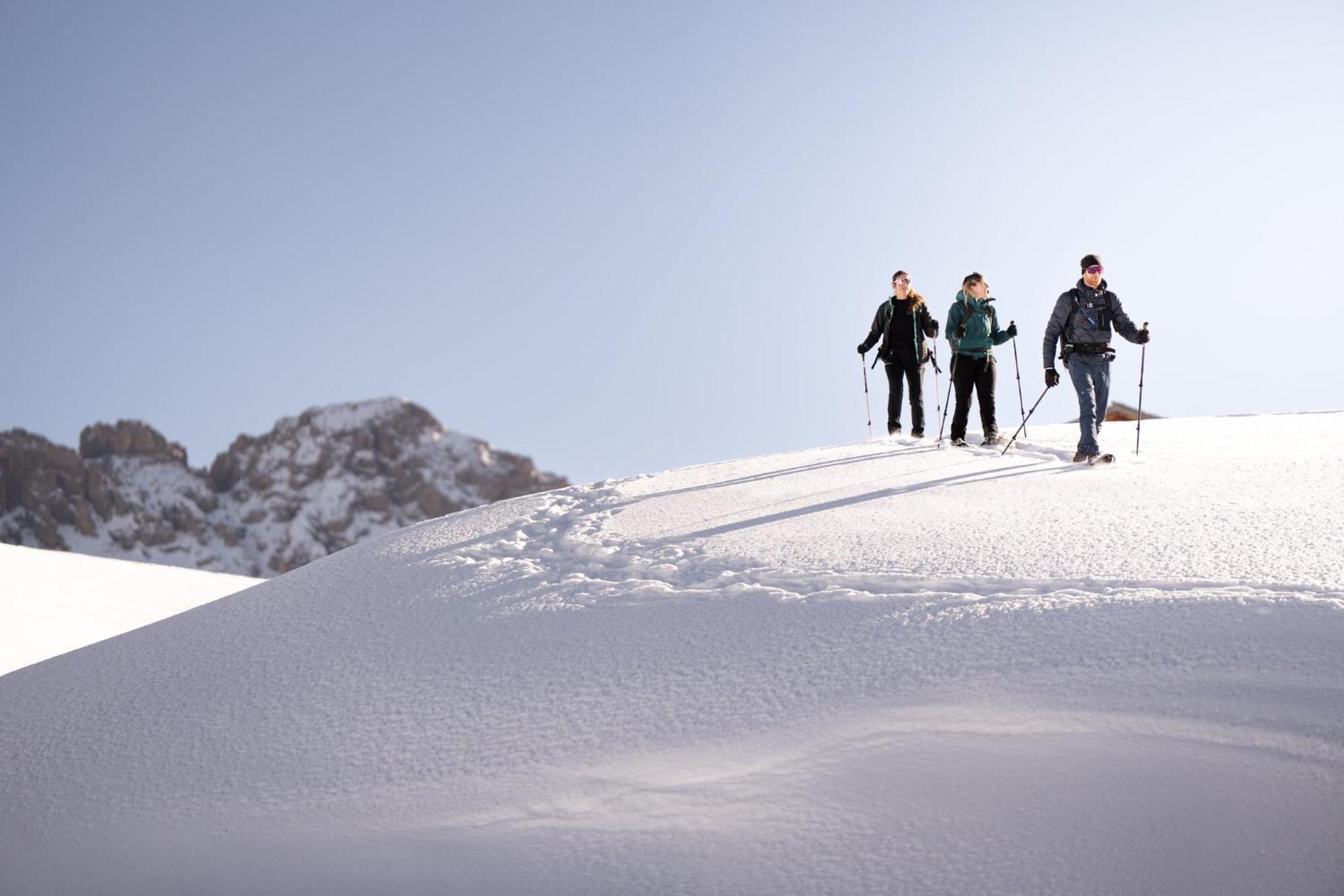 Alpina Dolomites Alpe Di Siusi