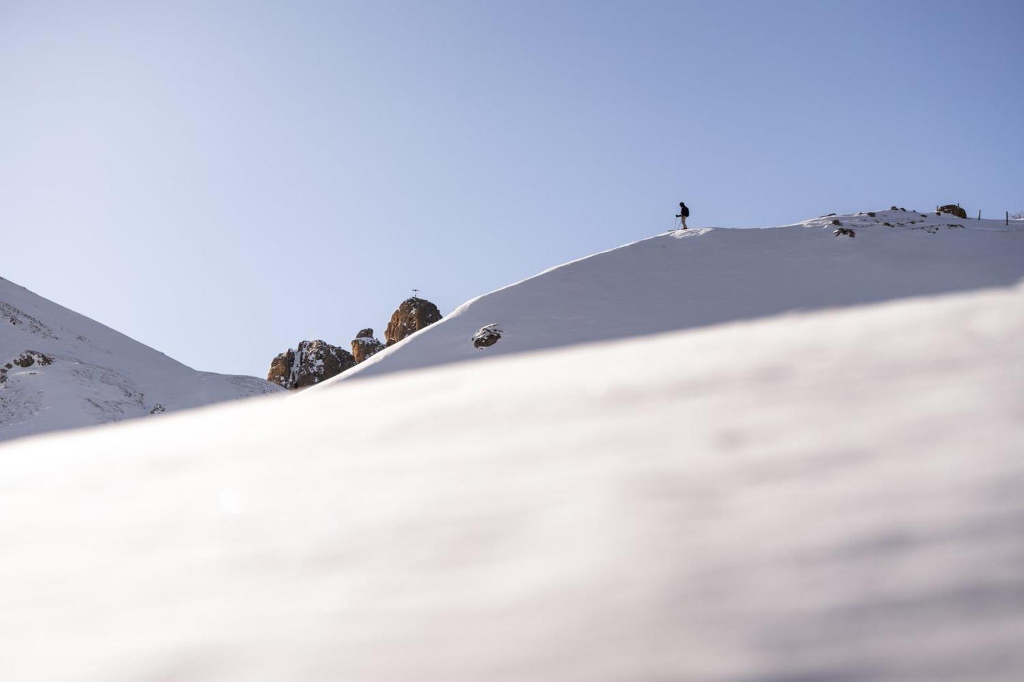 Hotel Alpina Dolomites 5*