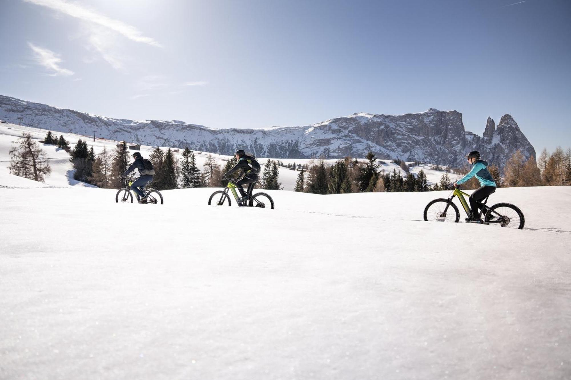 Alpina Dolomites Hotel 5*