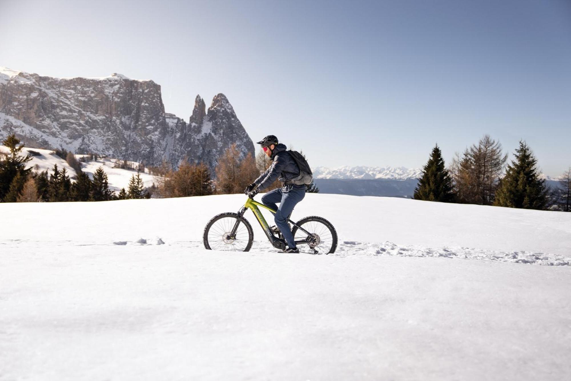 Hotel Alpina Dolomites 5*