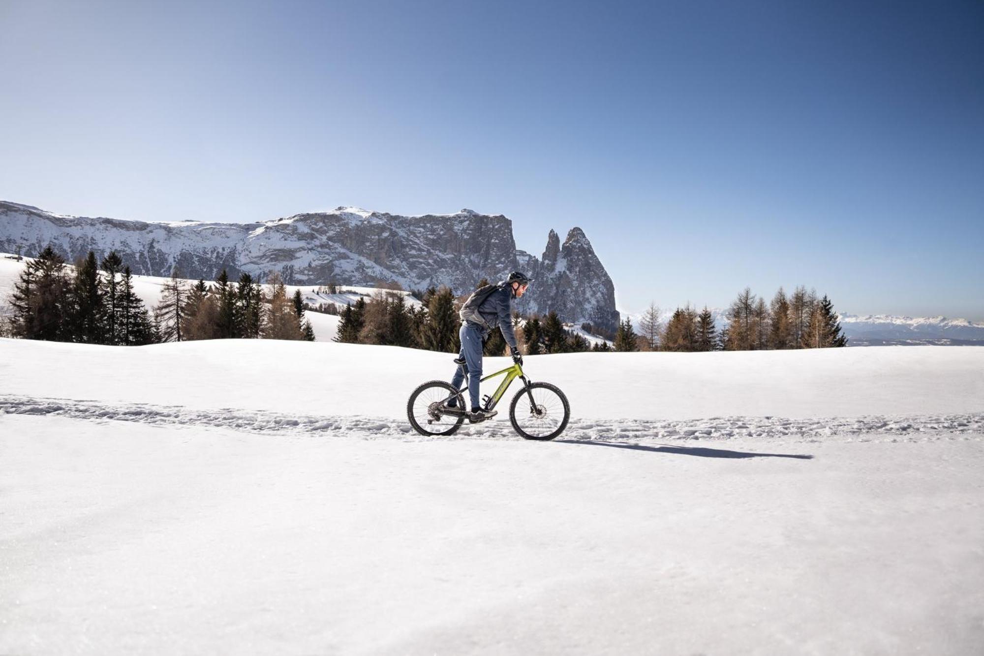 Alpina Dolomites Hotel Seiser Alm